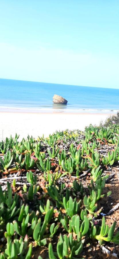 Caracola Beach Matalascanas Exterior photo